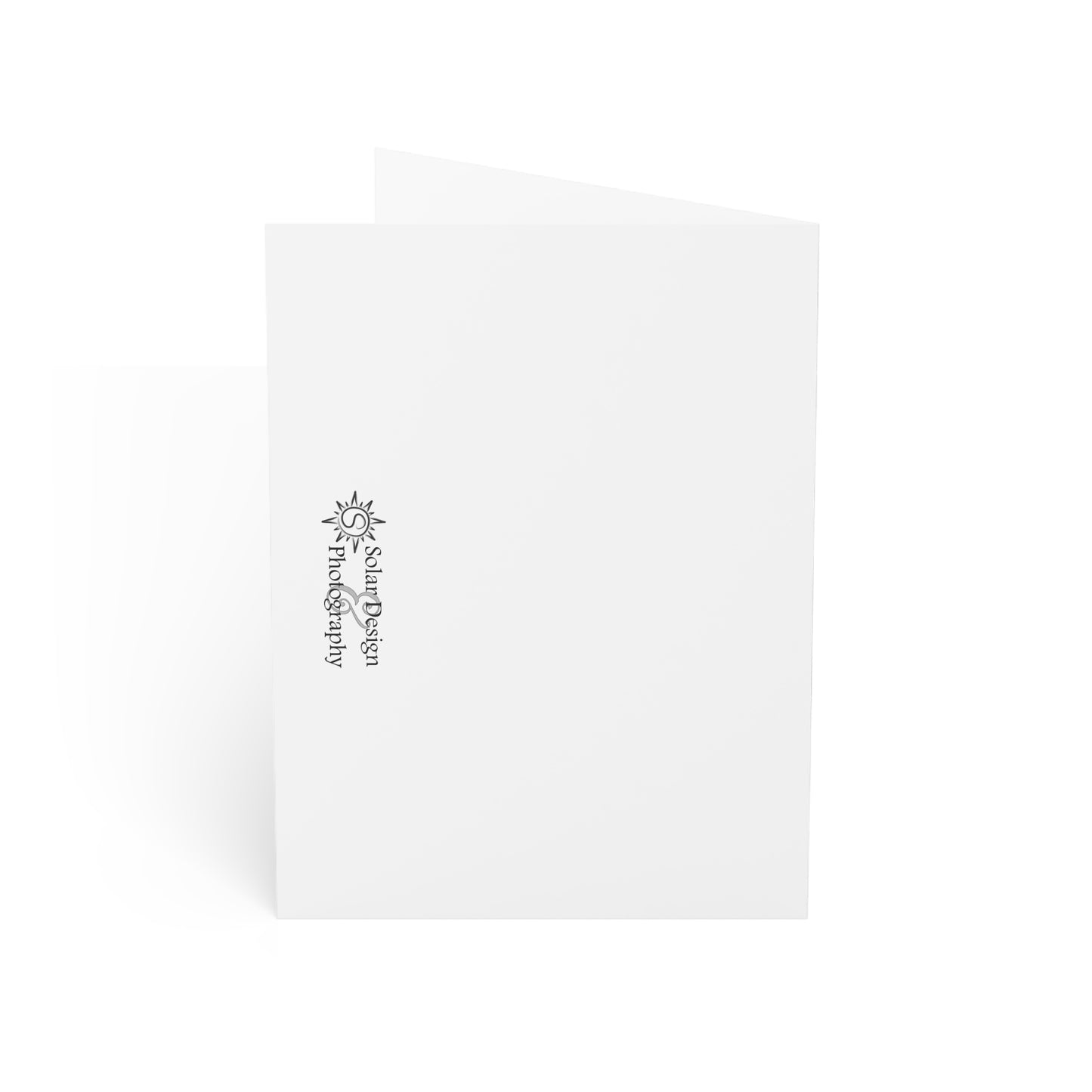 Sunflower Art Greeting Cards — Blank Inside (Single or Bulk Packs)